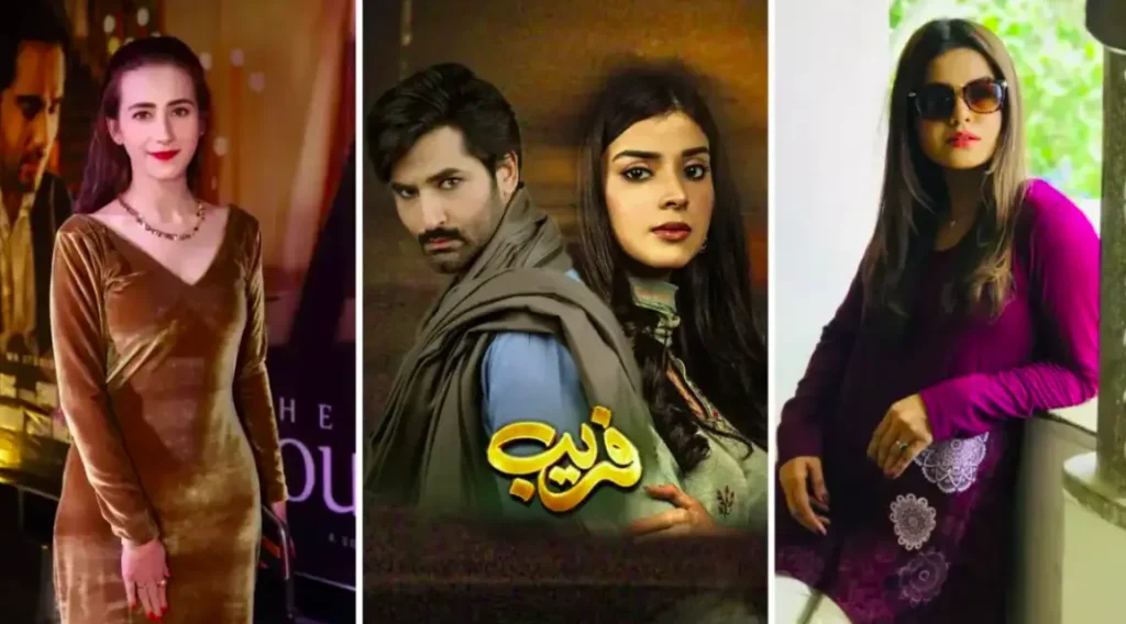 Hum TV Best Dramas "Fareb" Reviews