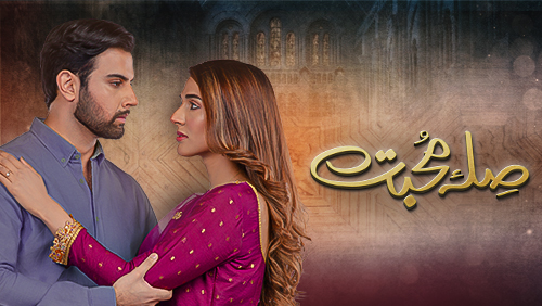 Best Hum TV Drama “Sila e Mohabbat” Review