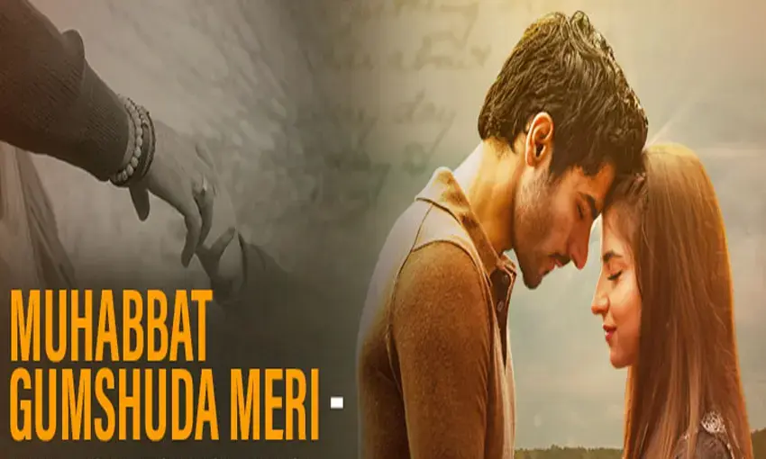 Best Hum TV Dramas: "Muhabbat Gumshuda Meri" Review