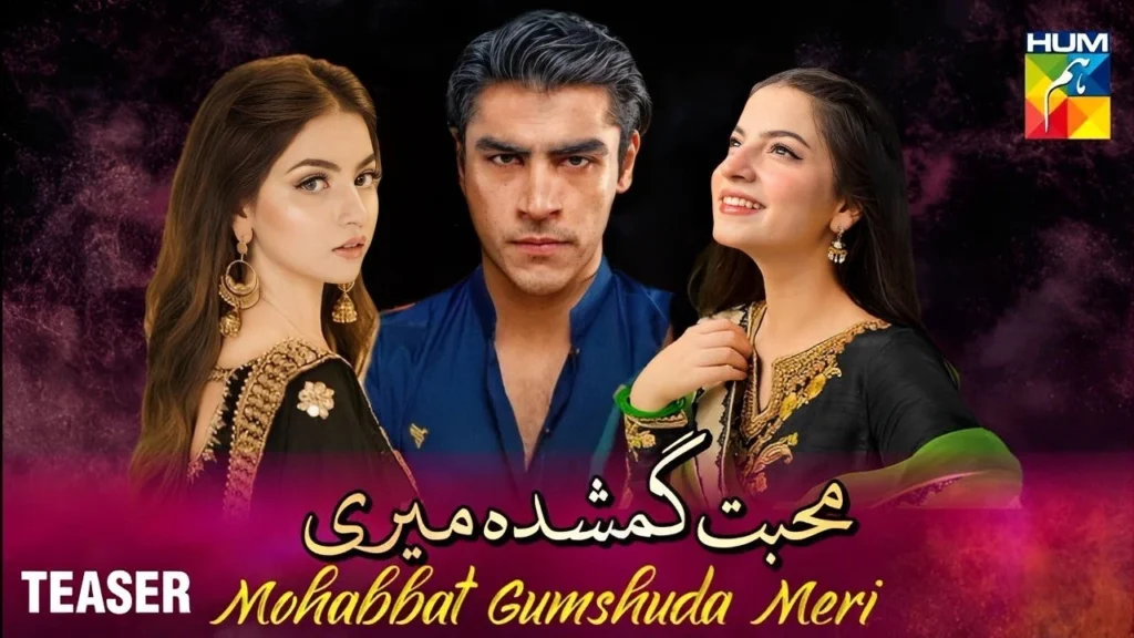 Best Hum TV Dramas: "Muhabbat Gumshuda Meri" Review