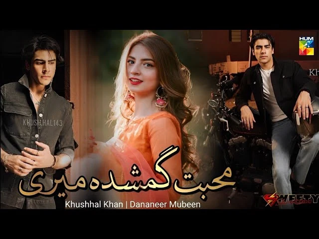 Best Hum TV Dramas: "Muhabbat Gumshuda Meri" Review