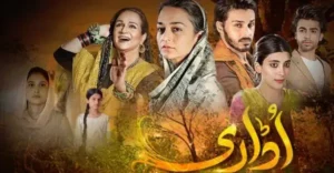 Hum Tv Drama Udaari Ost